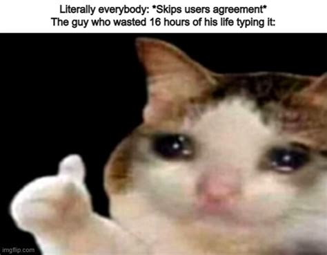 Sad Cat Thumbs Up Memes Imgflip