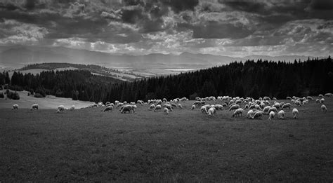 Sheeps Paradise Natural Landmarks Paradise Landmarks