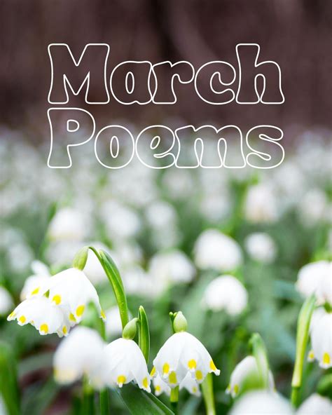 7 March Poems To Welcome A New Season