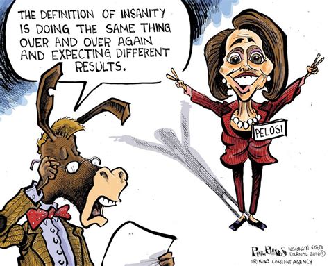 Political Cartoons State Of The States The Definition Of Insanity