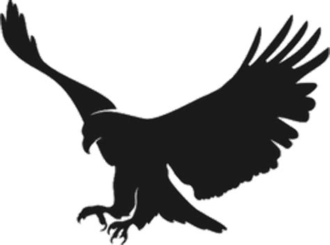 Download High Quality American Eagle Logo Silhouette Transparent Png