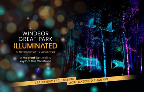 Windsor Great Park Illuminated Qanda See Tickets Blog