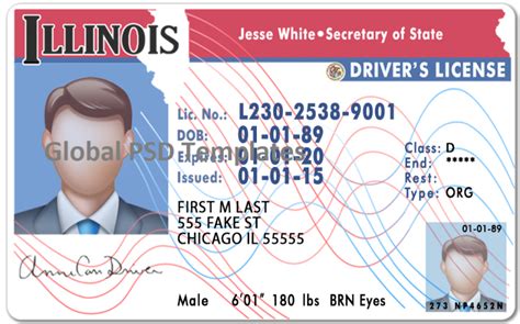 Illinois Drivers License Template V1 Global Psd Template
