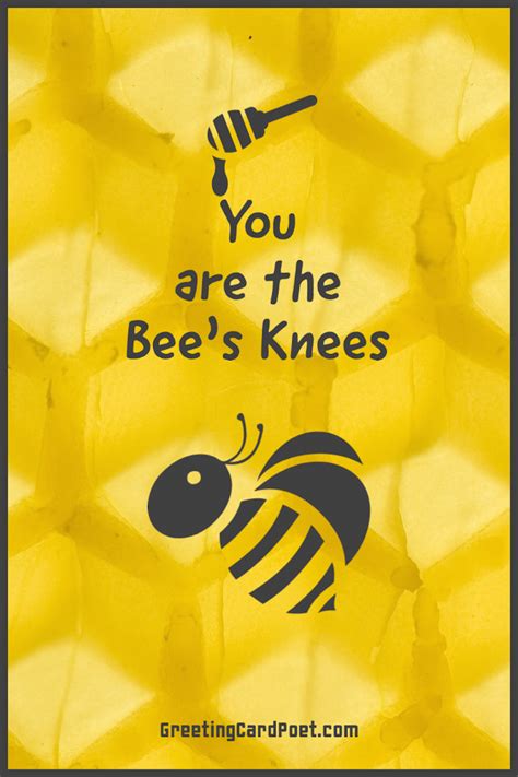 Bee Puns Funny Puns Funny Quotes Plan Bee Bee Puns Coffee Puns Bee