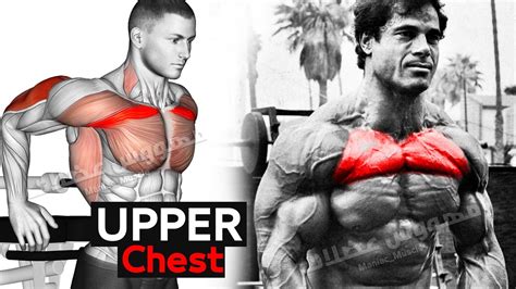 Upper Chest Workout Ways To Build Upper Pecs Youtube