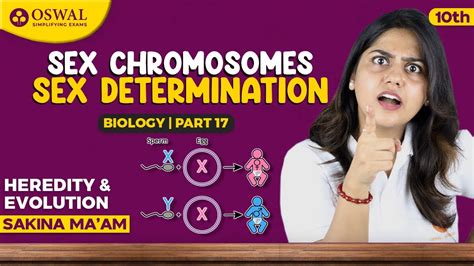 sex chromosomes and sex determination heredity and evolution part 17 class 10 biology