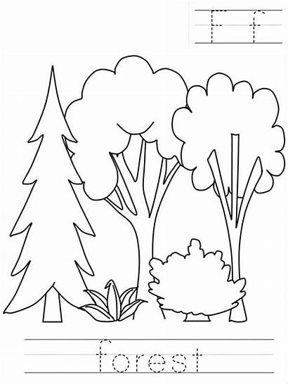 Forest Coloring Worksheet Pages Worksheets Sheets Sky