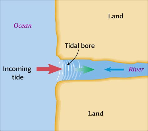The Astronomical Origin Of Tides For Sailors