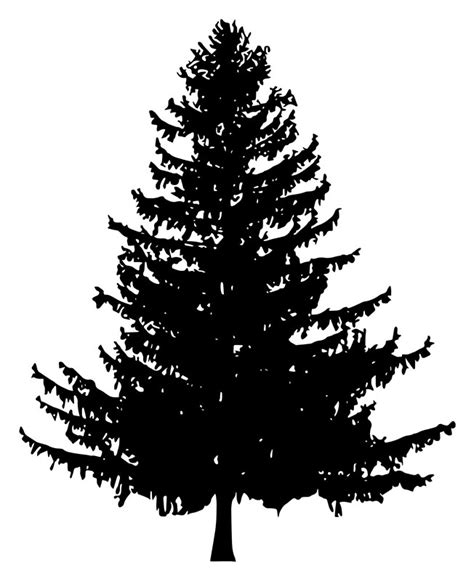 Creative line christmas tree with star background. "Pine Tree Silhouette" by katedill0n | Redbubble