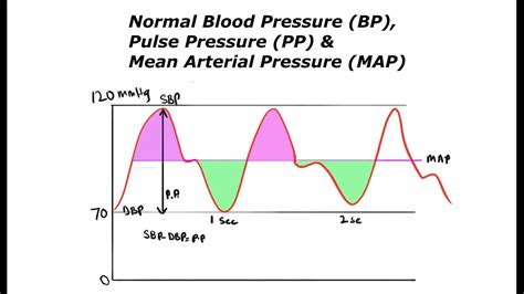 Normal Blood Pressure Bp Calculation Of Pulse Pressure Pp And Mean