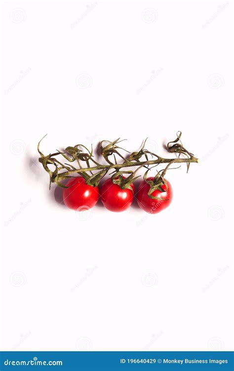 Overhead View Of Fresh Vine Tomatoes Against White Background Stock