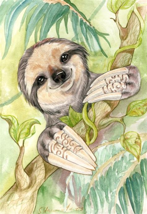 Sloth By Drunkenunicorn On Deviantart In 2020 Sloth Drawing Sloth