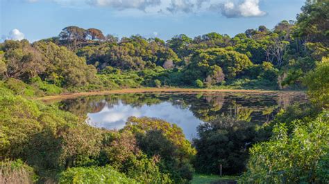 The Ultimate Guide To The Tower Hill Wildlife Reserve
