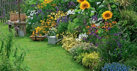 Von einem sichtschutz über schattenspender bis hin zu rosen und stauden. Ideen für bunte Sommerbeete | Garten, Garten pflanzen ...