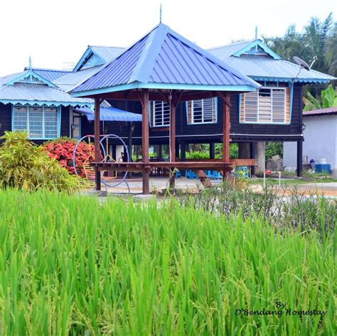 It is loosely translated into english as the cape of corals. D Bendang Homestay Chalet Di Tanjung Karang Kuala Selangor