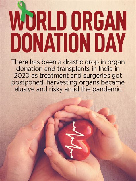 World Organ Donation Day 2021 Date In India Theme History Importance