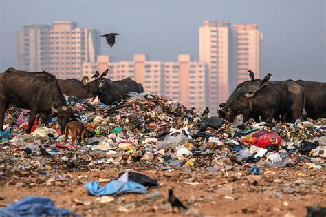 Mumbai Is Being Buried Under A Mountain Of Its Own Trash Bloomberg
