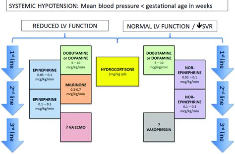 Treatment Flow Chart Of Systemic Hypotension Flow Chart