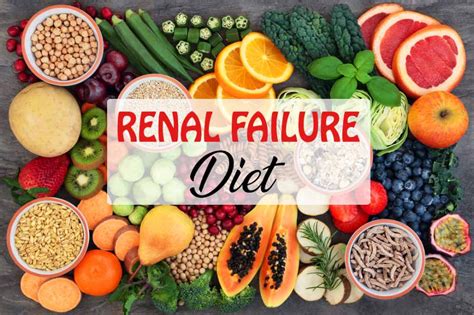 We did not find results for: The Eminence of Diet for Chronic Kidney Disease Patient ...