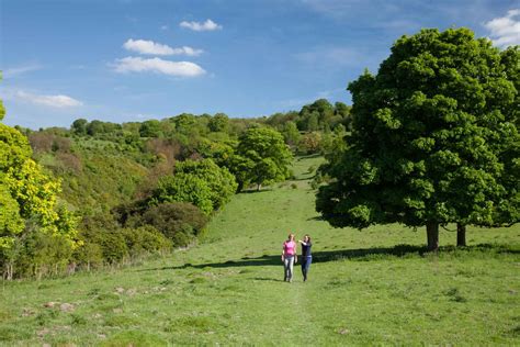 New Social Distance Friendly Walks Launched In The Chilterns Chiltern