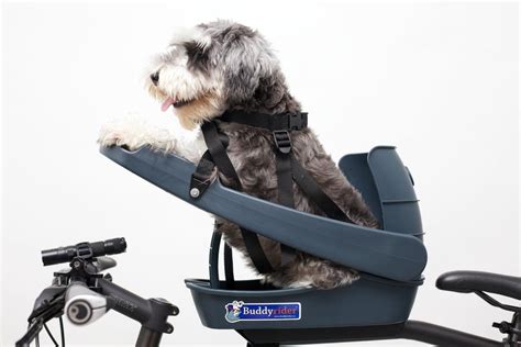 Buddyrider Bicycle Pet Seat Vélo Xpress