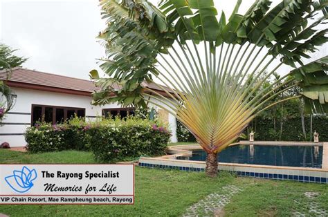 Tropicana Pool Villa Vip Chain Resort Rayong 1 The Rayong Specialist