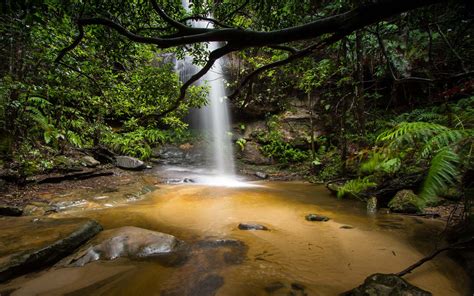 Beautiful Waterfall Deep In The Jungle Adeline Falls South Lawson