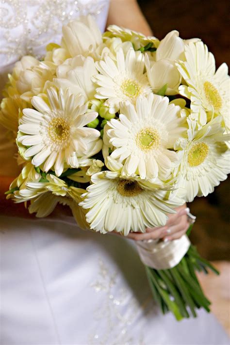 See more ideas about daisy wedding, wedding bouquets, wedding. Gerbera Daisy Bridal Bouquet - Wedding and Bridal Inspiration