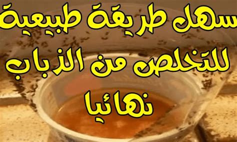 التخلص من الذباب