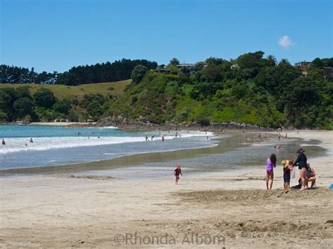 Palm Beach One Of Many Waiheke Island Beaches Near Auckland New Zealand Subtropical Rainforest