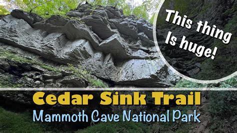 Hiking The Cedar Sink Trail Mammoth Cave National Park Youtube
