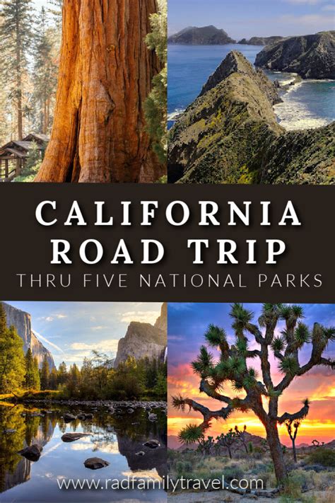 Road Trip Through Five California National Parks National Park Tours