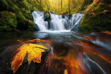 Waterfall In Autumn Forest Hd Wallpaper Background Image 2000x1330