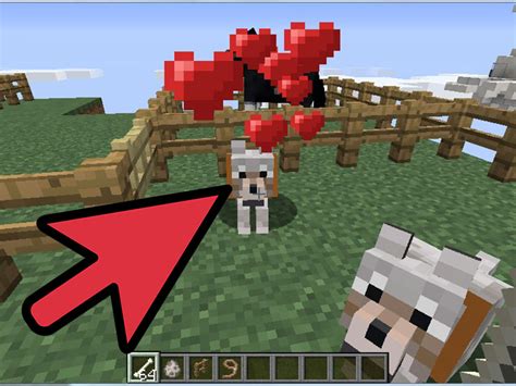 4 Ways To Tame Animals In Minecraft Wikihow