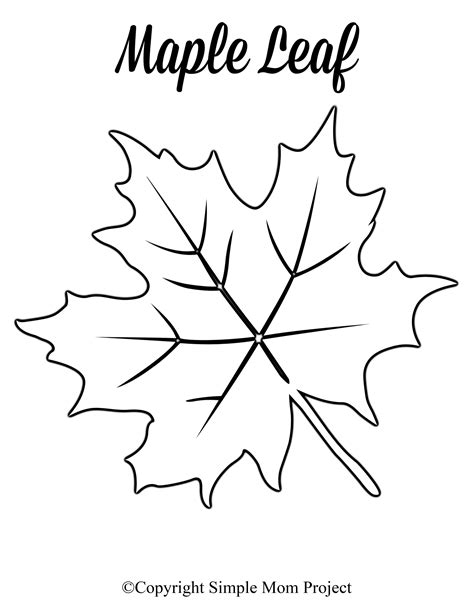 Free Printable Large Leaf Templates Stencils And Patterns Simple Mom