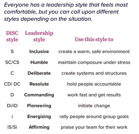 Disc Leadership Types