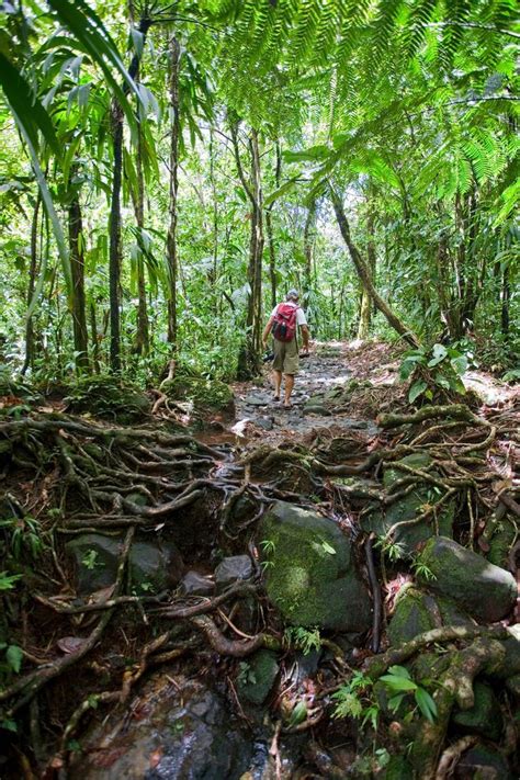 7 great hikes to take in the caribbean