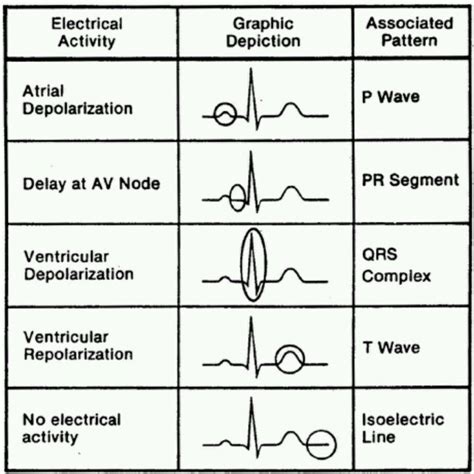 Heart Wave Cardiac Nursing Nurse Heart Electrical