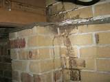Photos of Termite Damage Detection
