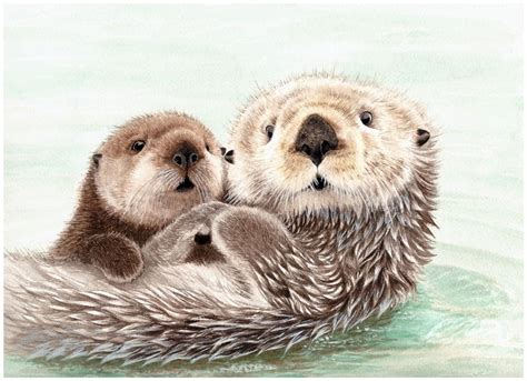 海獭母子paint By Janexu 许宁水彩作品 Otter Tattoo Otter Love Image Deco