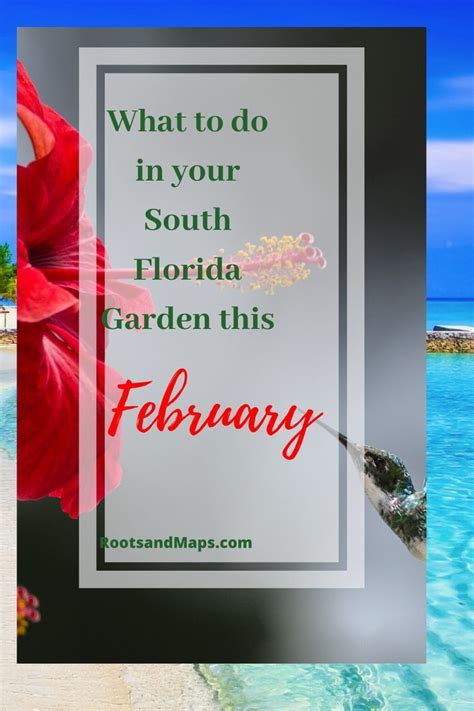 This means we experience warm south florida monthly gardening tips january add trees and shrubs: February in the South Florida Garden in 2020 | South ...