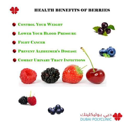 Give Yourself A Berry Boost Five Health Benefits Of Berries