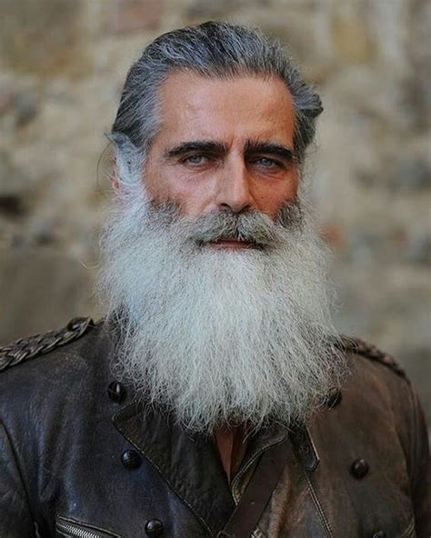 Daily Dose Of Awesome Beard Style Ideas From Grey Beards Beard Styles For Men