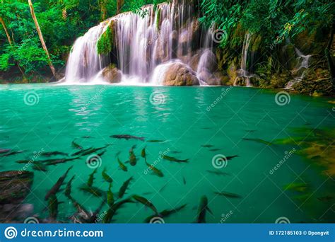 Waterfalls And Fish Swim In The Emerald Blue Water In Erawan National