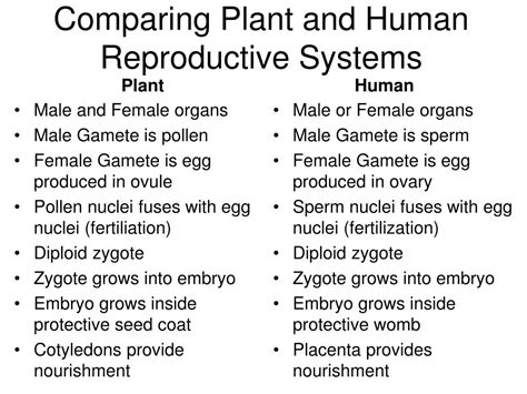 Called stamens, these reproductive organs are made up of two parts: PPT - Reproduction in Flowering Plants PowerPoint Presentation - ID:2978507