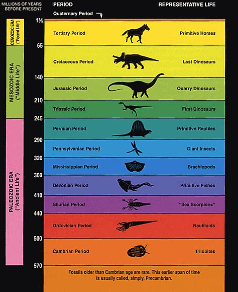 Paleozoic Era Timeline History Of Earth Geology Evolution