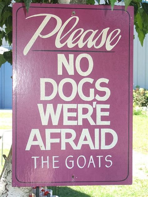Funny Grammar Mistakes On Signs In America 20 Pics