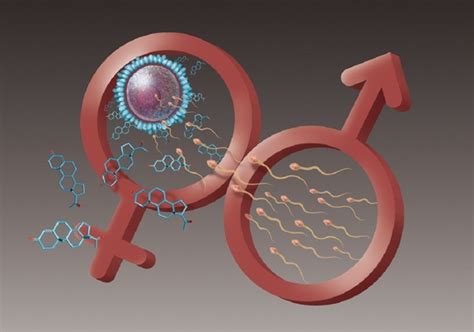 Can you donate your eggs for money. Donate a Testicle For $35,000 - Help Science Community