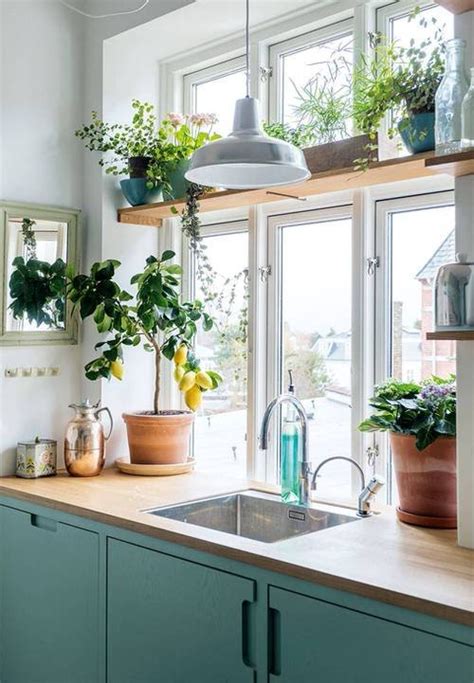 30 Best Kitchen Window Plant Ideas For Small Space Gardeners Thuy San