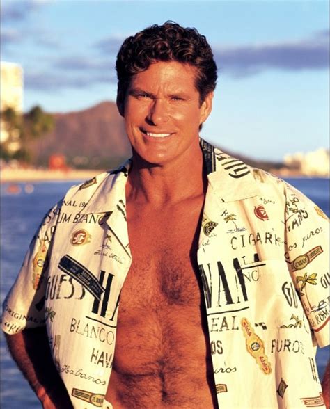 Image Detail For Fotos De David Hasselhoff Imagenes De David